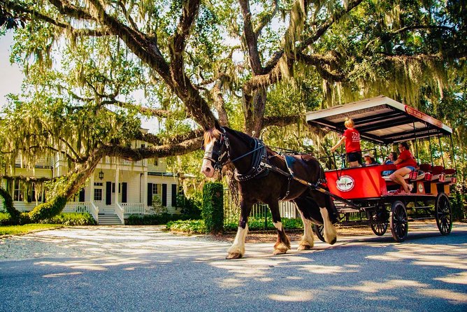 Beaufort’s #1 Horse & Carriage History Tour - Key highlights you’ll actually feel on this tour