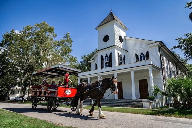 Beaufort’s #1 Horse & Carriage History Tour - Horses, comfort, and that “it feels safe” factor