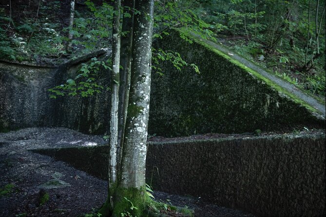 Berchtesgaden-Obersalzberg Private Half Day WWII Historical Tour - Price and Value: When $588.75 Per Group Makes Sense