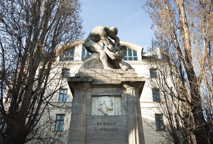 Berlin: Berlin Charité Guided History Tour - The difficult chapter: doctors’ collaboration with the Nazi regime