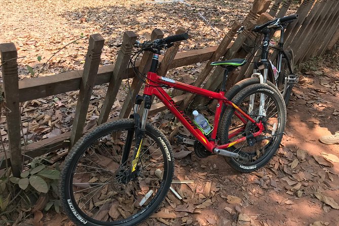Biking Tour in Angkor Wat, Angkor Thom Ancient Capital, Ta Promh - Pace, timing, and photo stops: how the day really works
