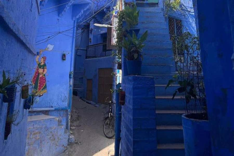 Blue City Heritage Walking Tour With Pick Up & Drop Off - The Blue City story you actually remember