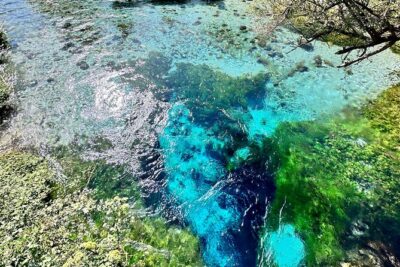Blue Eye and Gjirokaster, Half Day Nature & Historical Tour - Stop 1: Blue Eye spring park walk and photo time