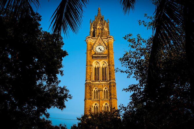 Bombay Fort Heritage Walking Tour - Oval Maidan: where cricket culture becomes a street-level reality