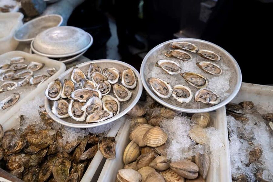 Boston: Guided Seafood Tasting and History Tour - The Harborwalk segment: learning Boston Harbor by walking it