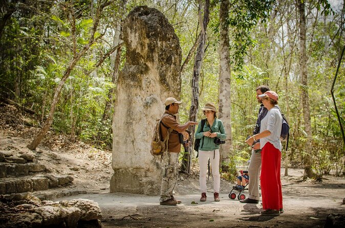 Calakmul Ancient Maya City Tour - From Campeche - Temple views and the stairs: the payoff for steady legs