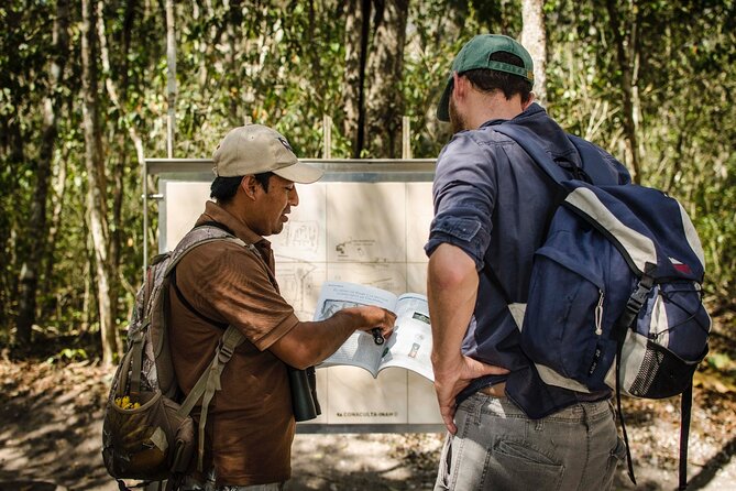 Calakmul Ancient Maya City Tour From Xpujil - Key Points You’ll Care About