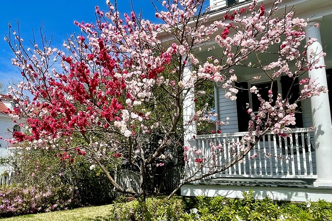 Charleston History Tour / - The 1771 stop: the Constitution story in Charleston’s own setting
