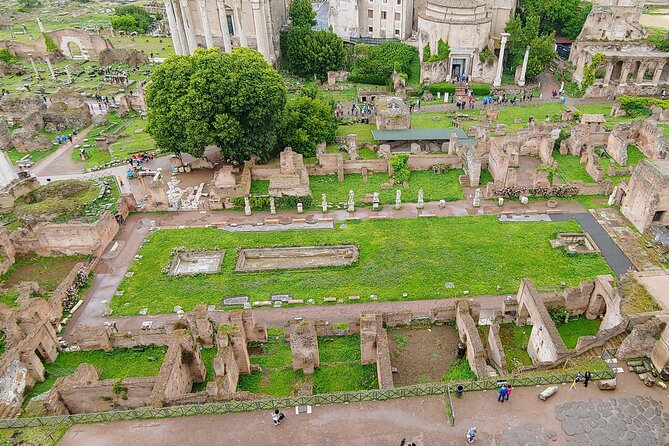 Colosseum & Ancient Rome Guided Walking Tour - Roman Forum: the outdoor newsroom of ancient Rome