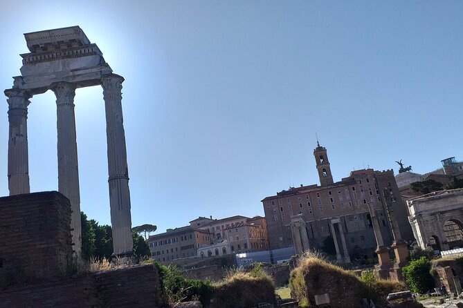 Colosseum & Ancient Rome - Private Tour - Practical Tips for a Hot, Crowded Colosseum Day