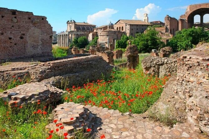 Colosseum & Ancient Rome Private: Women History Guided Tour - Stop 3: Palatine Hill, where imperial women lived close to power