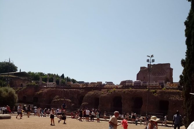 Colosseum and Ancient Rome Express Tour - Group size, earphones, and why speed can go wrong