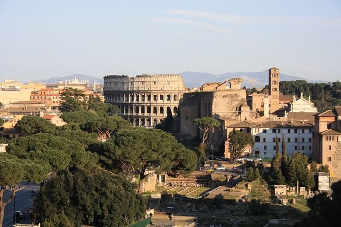Colosseum and Ancient Rome Private Guided Tour - Roman Forum: where Rome ran on power, law, and religion