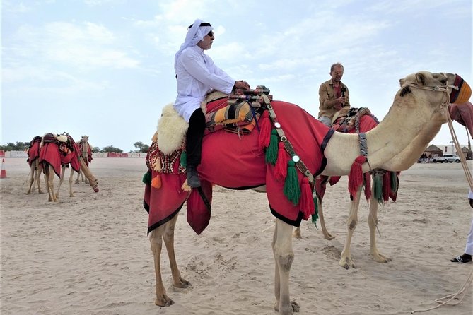 Combo Culture & Adventure: North Qatar Heritage & Desert Safari - Pickup, timing, and how the day usually moves