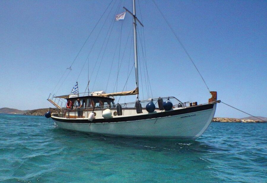 Cruise to Rhenia Island with Stop at Ancient Delos - Sailing to Ancient Delos: what you actually do with the time you get