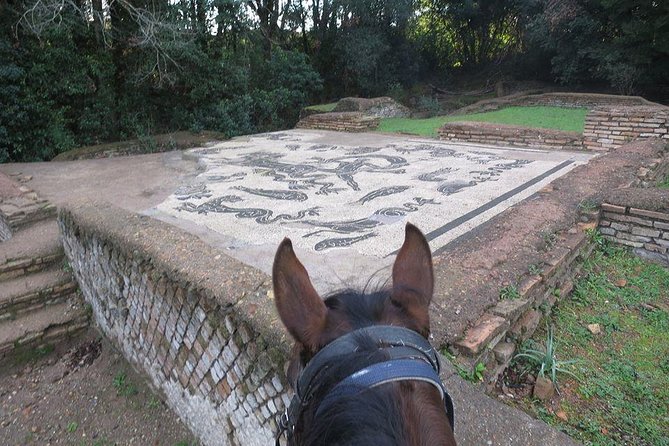 Daily out of Rome : Horseback ride with meals & wine included - Meet at Tagliacozzo and settle in at Centro Ippico Valle Verde