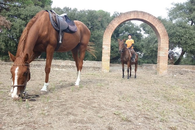 Daily out of Rome : Horseback ride with meals & wine included - Lunch, then wine tasting in a village square