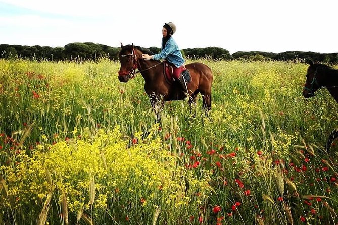 Daily out of Rome : Horseback ride with meals & wine included - Price and value: what $325.60 includes for a full day outdoors