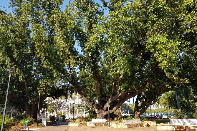 Darwin Heritage Walk - Getting Oriented at the Start Corner: Where the Walk Begins