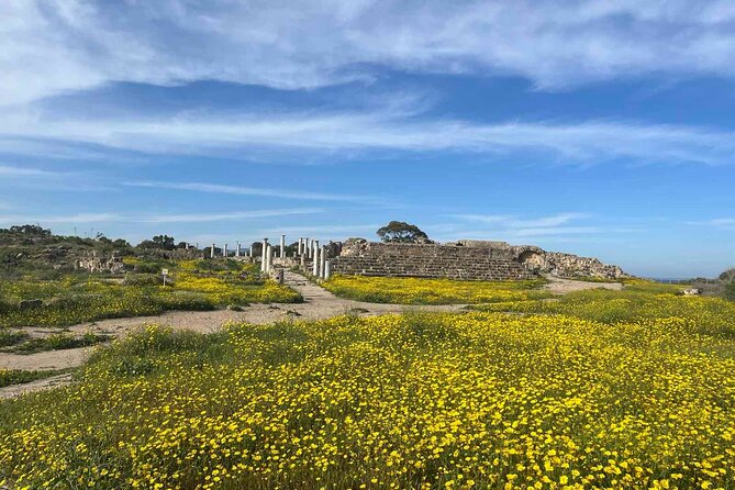 Day Tour to Famagusta, Ghost Town & Ancient Salamis - Morning pickup from Paphos and the checkpoint reality