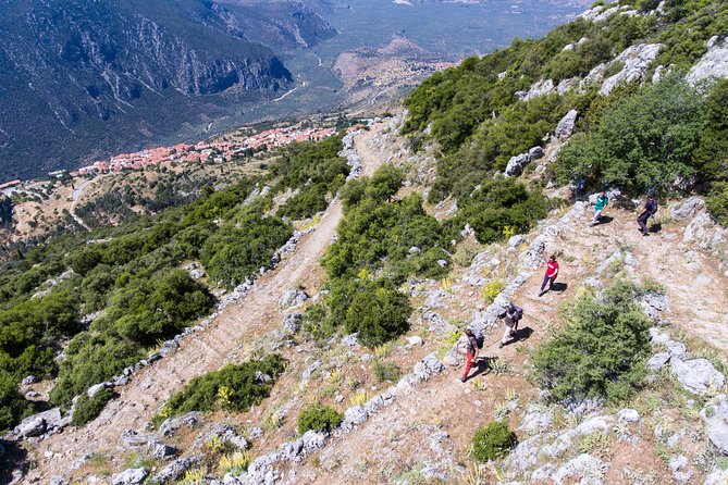 Delphi: Ancient Footpath Delphi Hiking - Key Highlights You’ll Actually Notice