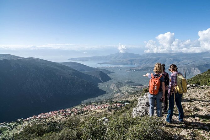 Delphi: Ancient Footpath Delphi Hiking - Flora, Fauna, and the Real-Life Plants Guides Point Out