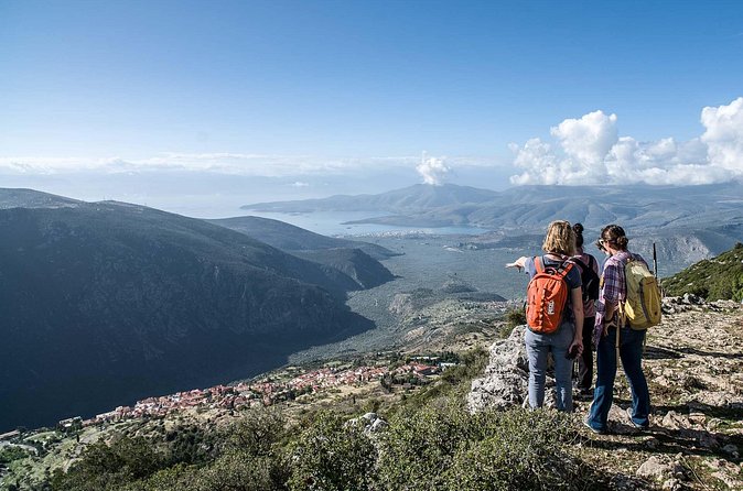 Delphi: Ancient Footpath Delphi Hiking - The Olive Groves and Gulf Views You’ll Remember