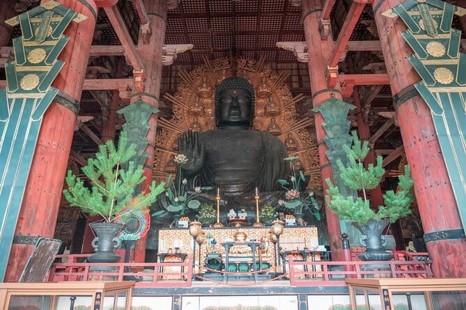 Discover Ancient Nara: Private Car Tour from Kyoto or Osaka - Hotel Pickup and the Nara Game Plan: How the Day Feels