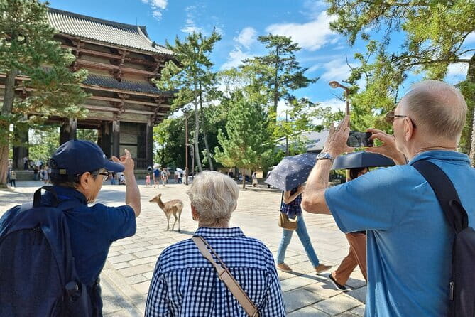 Discover Ancient Nara: Private Car Tour from Kyoto or Osaka - Optional Add-Ons If Time Allows: Tea, Matcha, Sake, and Seasonal Fun
