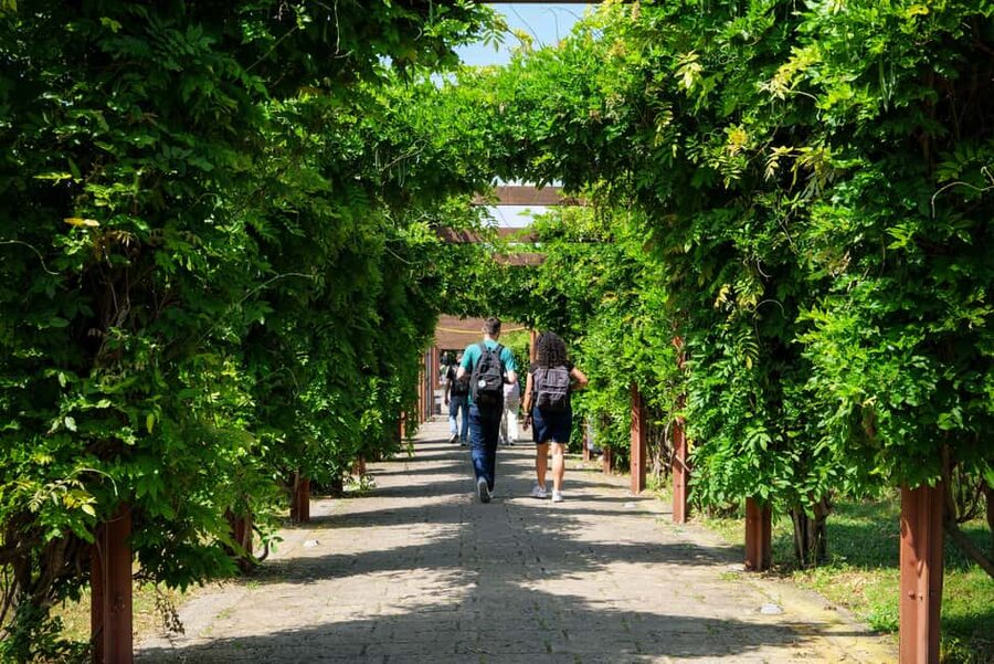 Discover Herculaneum: A guided tour of the ancient Roman city - Why Herculaneum feels quieter than Pompeii
