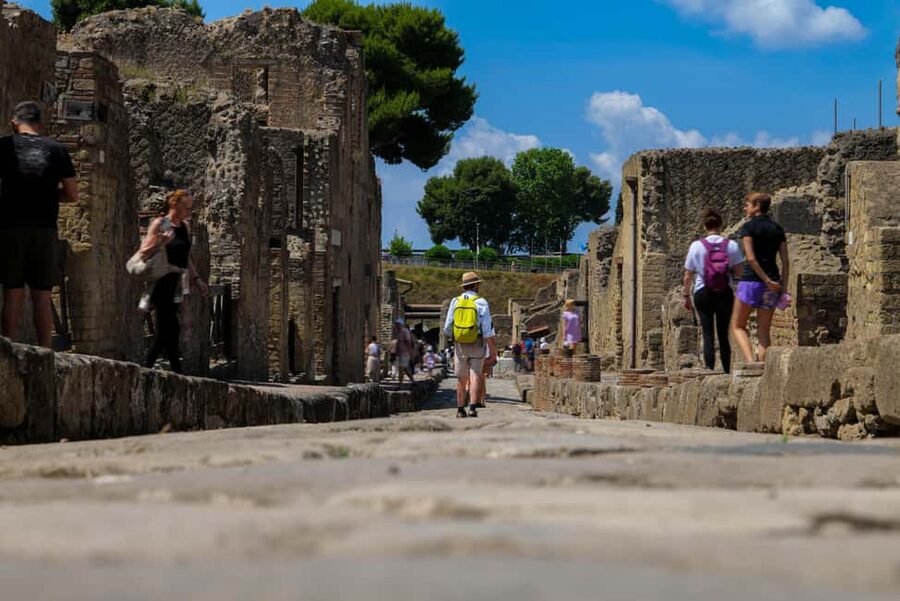 Discover Herculaneum: A guided tour of the ancient Roman city - Neptune and Amphitrite: mosaics you don’t want to miss