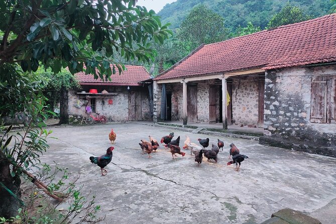 Discover Trang An Natural World Heritage, Bich Dong Pagoda, Cycling Day Tour - Lunch break with local flavors (and a cultural note)