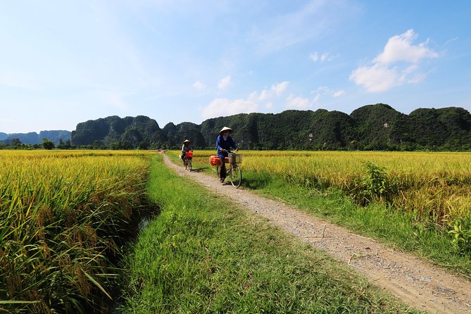 Discover Trang An Natural World Heritage, Bich Dong Pagoda, Cycling Day Tour - Heading back to Hanoi: don’t waste your last hour