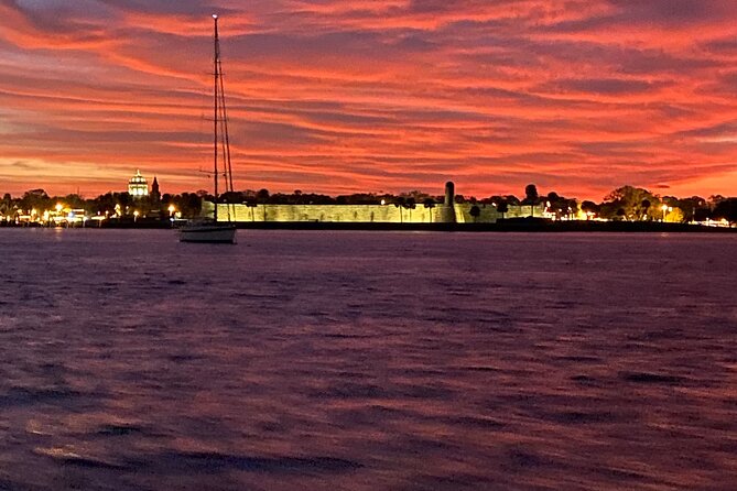 Dolphin and Wildlife History Tour - Wildlife checklist: what you might spot on Matanzas Bay