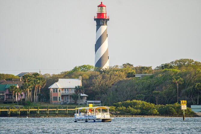 Dolphin and Wildlife History Tour - Booking smart: timing, tickets, and weather reality