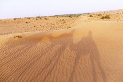 Dubai Camel Desert Safari, Traditional Meal & Heritage Activities - Dubai Desert Conservation Reserve and the headscarf moment