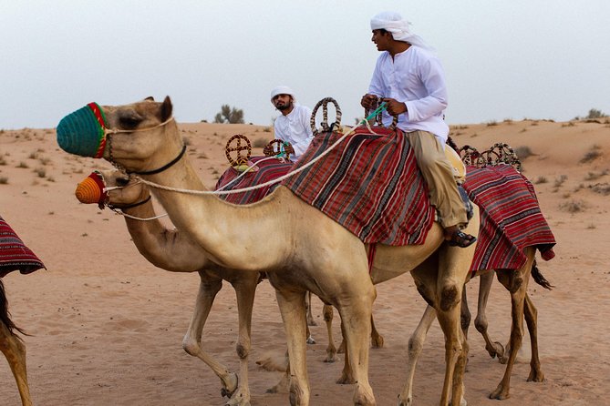 Dubai Camel Desert Safari, Traditional Meal & Heritage Activities - Value and price: is $193.98 a fair deal?