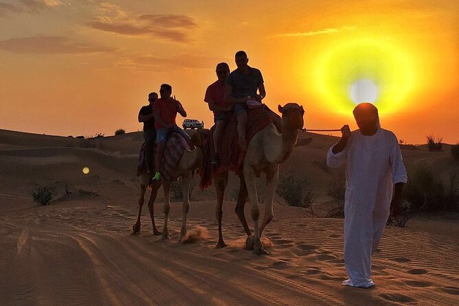 Dubai Evening Desert Safari With BBQ Dinner at Arabian Heritage - Key highlights