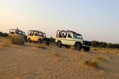 Dubai Evening Heritage Safari by Vintage G Class Al Marmoom Oasis - Al Marmoom Conservation Reserve: Photo Stops and Wildlife Time