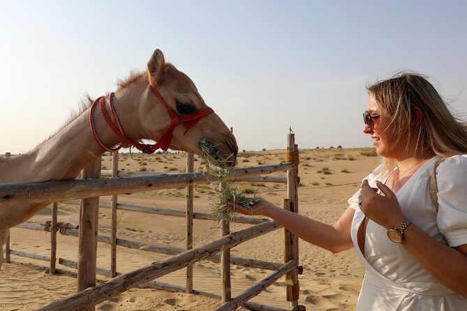 Dubai Evening Heritage Safari by Vintage G Class Al Marmoom Oasis - Should You Book This Safari? My Take