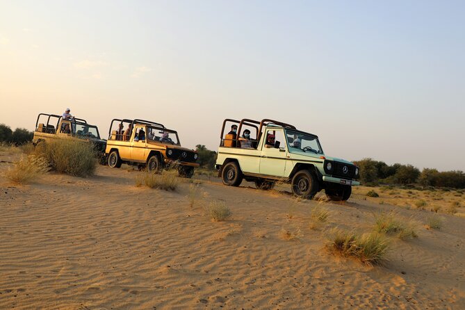 Dubai Evening Heritage Safari by Vintage G Class Al Marmoom Oasis - Al Marmoom Conservation Reserve: Photo Stops and Wildlife Time