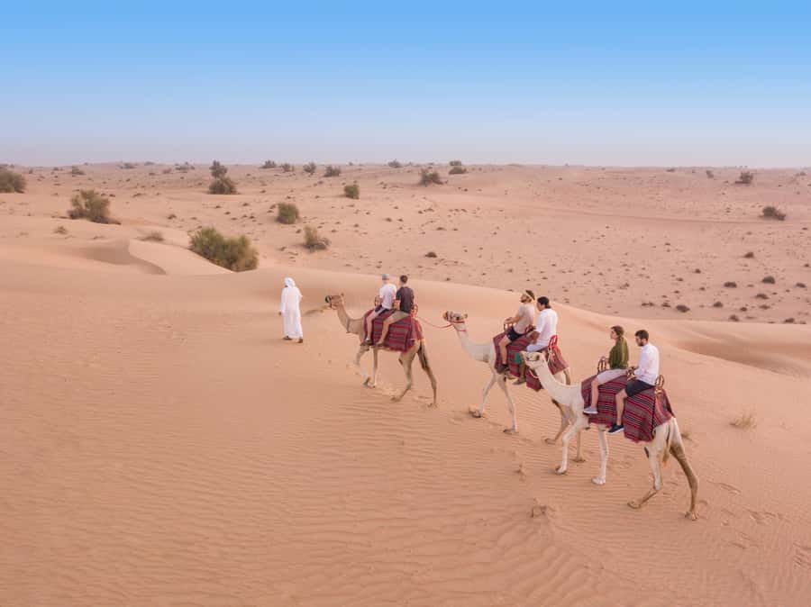 Dubai: Heritage Camel Desert Safari with Traditional Dinner - The 45-minute camel caravan: what to expect and who should pass