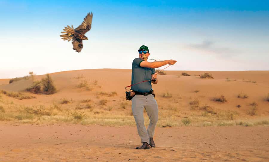 Dubai: Heritage Desert Safari wtih Overnight and Breakfast - Sunset falconry: where the timing really matters