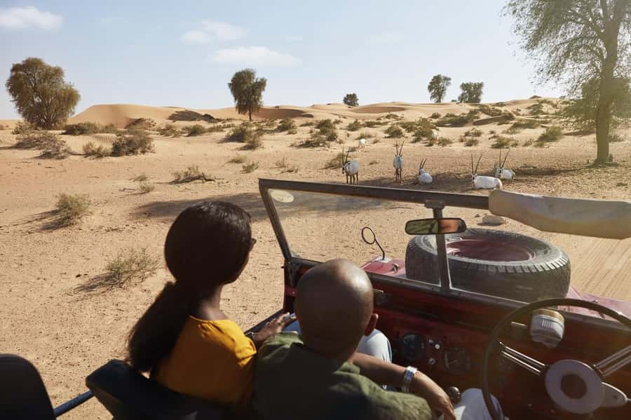 Dubai: Heritage Safari in Vintage Land Rover with Dinner - Price and value: where $189 fits and what you’re really paying for