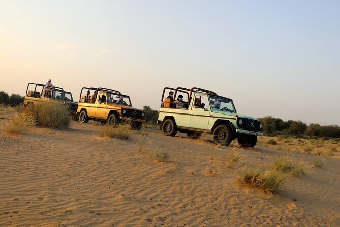 Dubai: Morning Heritage Safari by Vintage G Class & Al Marmoom Oasis - Should you book this tour or skip it?