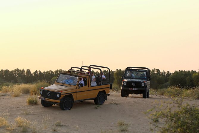 Dubai: Morning Heritage Safari by Vintage G Class & Al Marmoom Oasis - Al Marmoom conservation reserve: wildlife moments aren’t just marketing