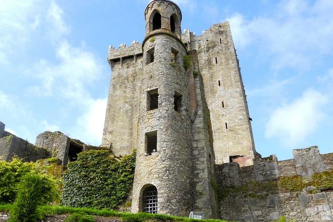 Dublin to Cork, Blarney Castle & Cóbh Heritage Centre by train - Why the Dublin to Cork Train Format Feels Better