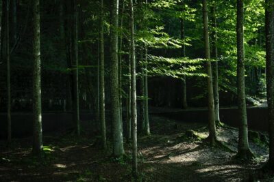 Eagle's Nest-Berchtesgaden-Obersalzberg Private Half Day WWII Historical Tour - Private pickup, a tight 4-hour schedule, and how you’ll move
