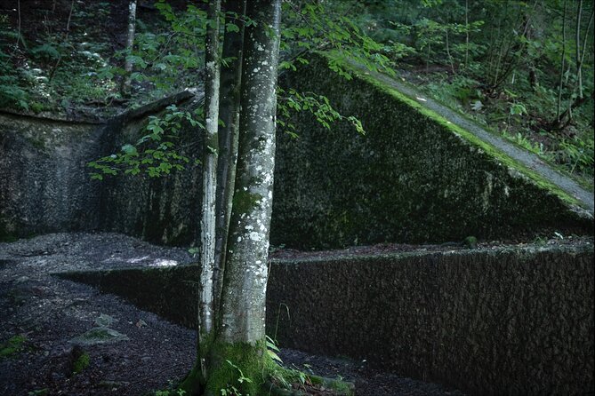 Eagle's Nest-Berchtesgaden-Obersalzberg Private Half Day WWII Historical Tour - Obersalzberg by drive and Berghof ruins on foot