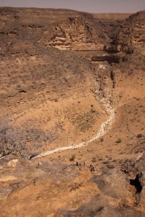 East Salalah Highlights: Half-Day Heritage & Scenic Countryside - Key Highlights I’d Prioritize